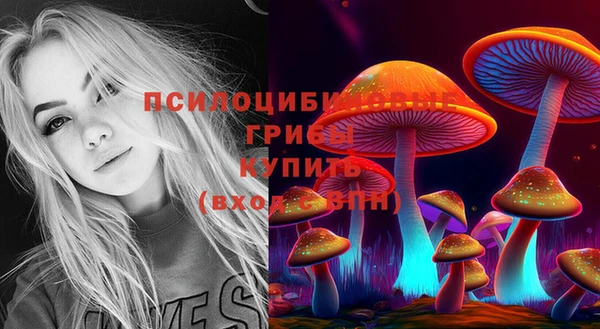 MESCALINE Богородицк